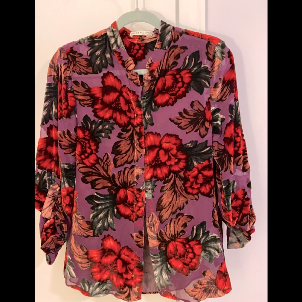 Stunning Alice + Olivia Blouse